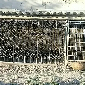 Ýatak