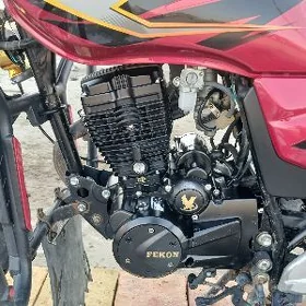 fekon gp dıbıtıl
