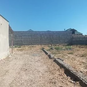 Taze Magtymguly