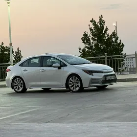 Toyota Corolla 2021
