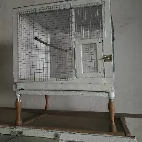 папугай клетка