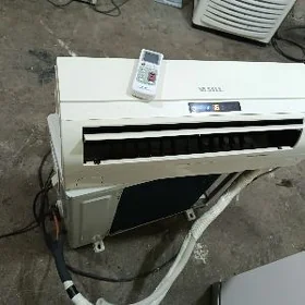Kandisaner vestel 30 lyk