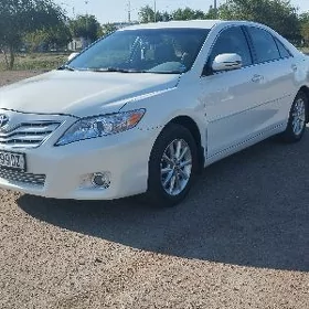 Toyota Camry 2010