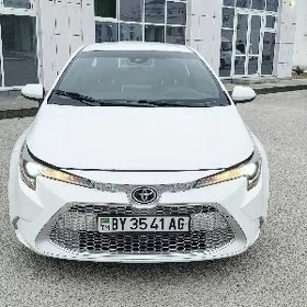 Toyota Corolla 2021