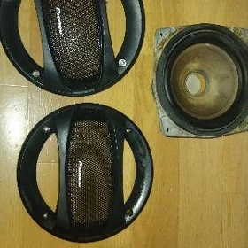kolonka pioneer