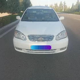 Toyota Corolla 2003