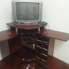 Telewizor