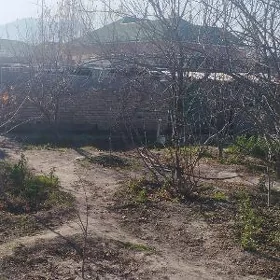 Багир Bagyr