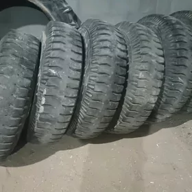 Ayak