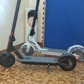 Tokly samokat skuter