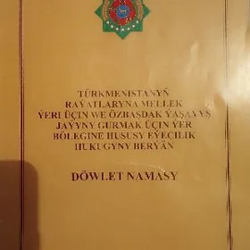 Айрапорт дача