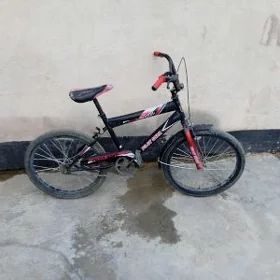 çaga tigir