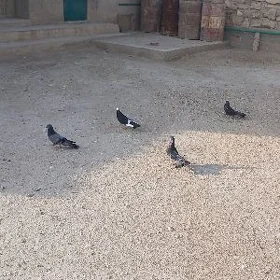 kepderi
