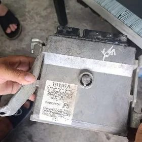 karolla kampiyutr