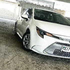 Toyota Corolla 2024