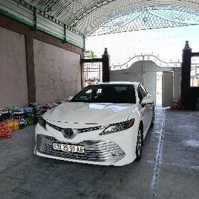 Toyota Camry 2019