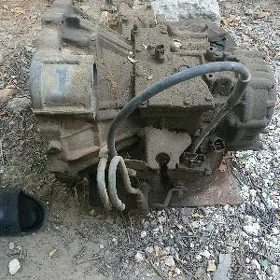 каропка