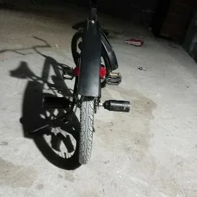 300yuzluk welik