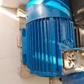 Elektrodwigatel