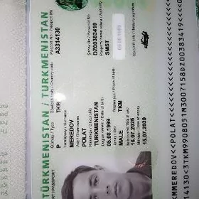 Zagran pasport
