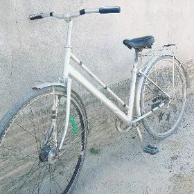 tıgır