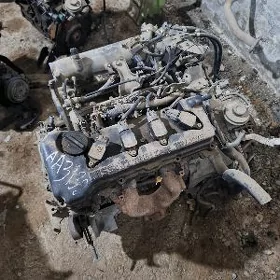 Nissan Sunny mator