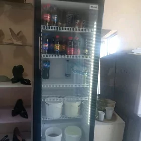 vtrin holodinnik