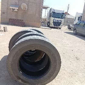 ayak