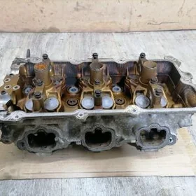 A33 golowka Maxima