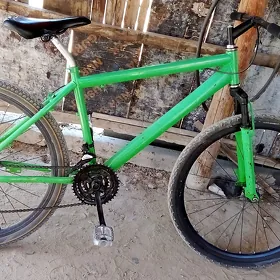 turkmenistan tigir