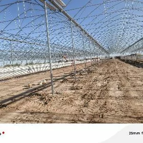 kotcy komekci gerek