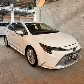 Toyota Corolla 2020