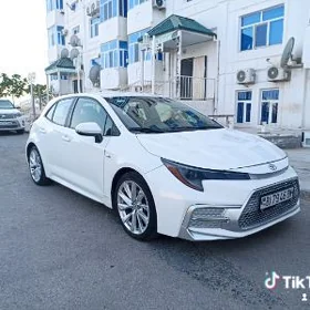 Toyota Corolla 2021