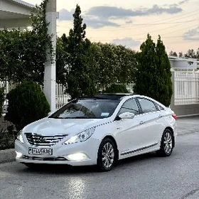 Hyundai Sonata 2010