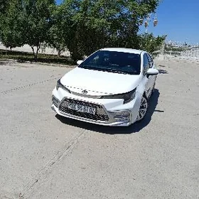 Toyota Corolla 2021