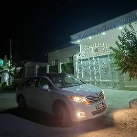Toyota Venza 2009