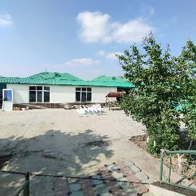 Taze Zaman ️ Тазе заман