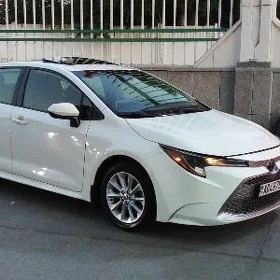 Toyota Corolla 2019