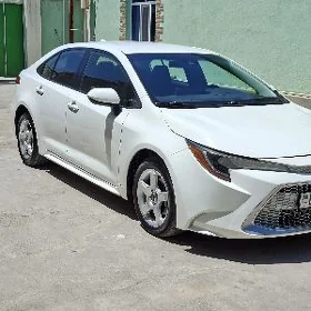 Toyota Corolla 2019