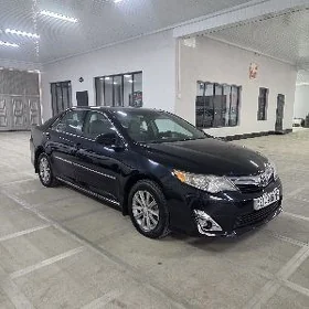 Toyota Camry 2013