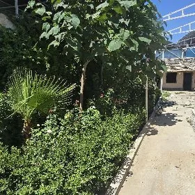 ARENDA JAY Plan