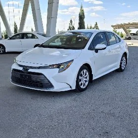 Toyota Corolla 2024