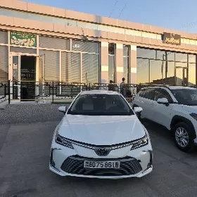 Toyota Corolla 2023