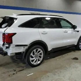 SORENTO  KARNIVAL