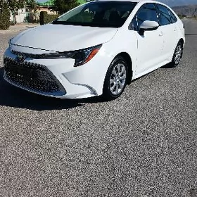 Toyota Corolla 2023