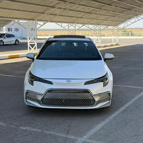 Toyota Corolla 2019