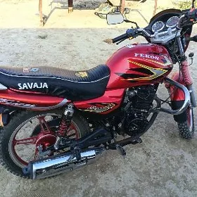 Fekon FK150-8G 2014