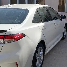 Toyota Corolla 2020