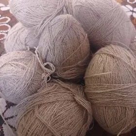 Haly erş