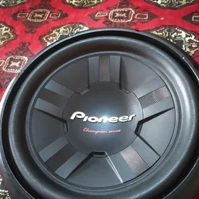 pioner cerepaha bass bocka